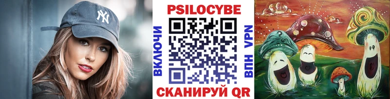 KRAKEN как зайти  где найти наркотики  Свободный  Галлюциногенные грибы MAGIC MUSHROOMS 
