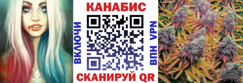 Бошки Шишки планчик  Свободный 
